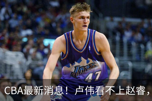 CBA最新消息！卢伟看不上赵睿，张镇麟转会费超5000万，林葳无缘国家队原因曝光